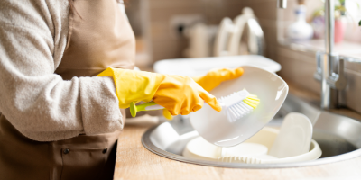 Profesional de servicios domésticos